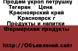 Продам укроп,петрушку (Тегеран) › Цена ­ 140 - Красноярский край, Красноярск г. Продукты и напитки » Фермерские продукты   